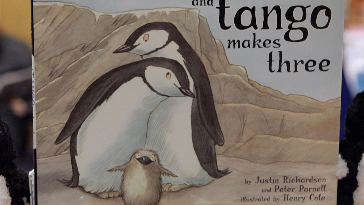 Students and authors sue Florida school district that banned a book about two male penguins - Vimarsana News