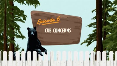 Connecticut's Backyard Bears: Cub Concerns