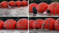 Court orders Texas to move Rio Grande floating buoy barrier that drew backlash from Mexico