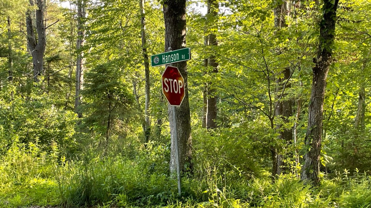 Neighbors speak on bear break-in that happened in Canton – NBC Connecticut