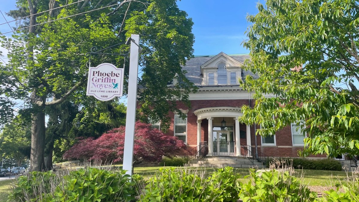 Two adolescent sex-ed books challenged at Old Lyme library – NBC Connecticut