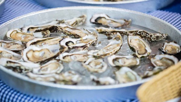 Scammer is trying to defraud Norwalk Oyster Festival vendors, Better ...