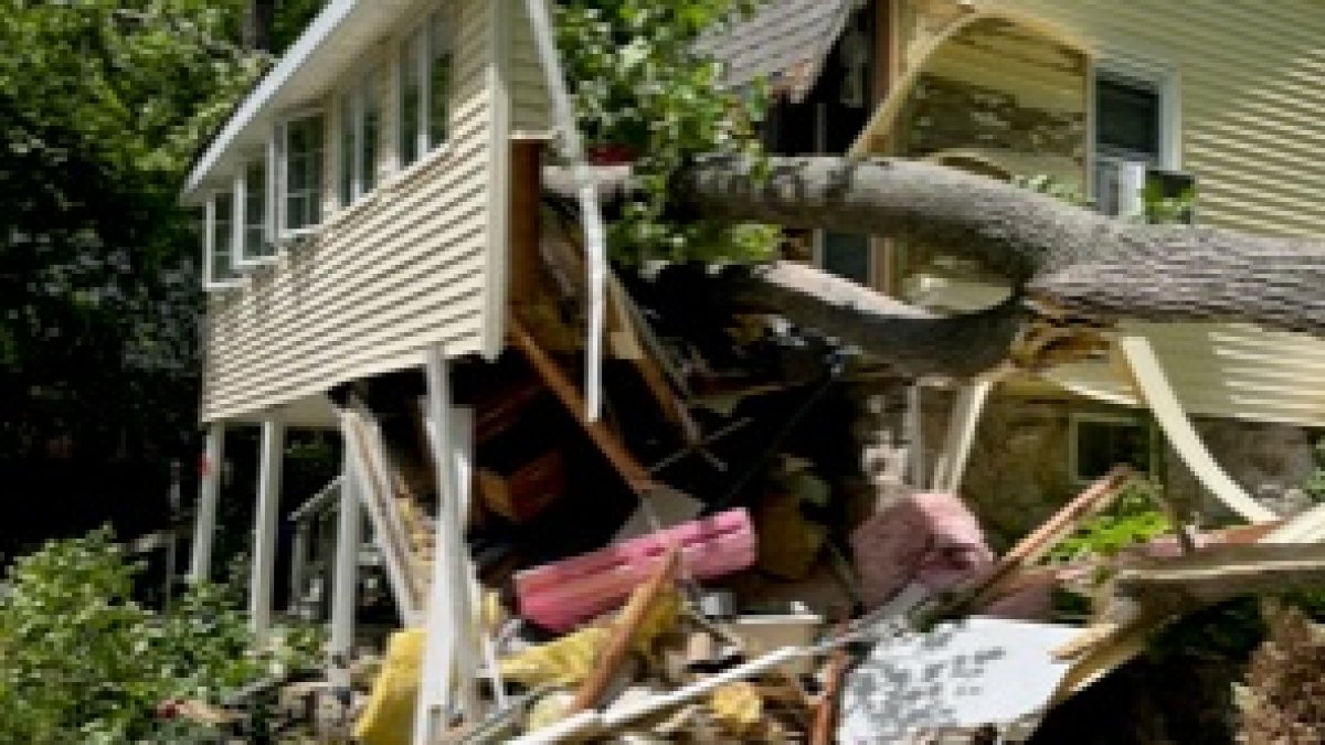 Law looking into abandoned land passes after NBC CT Responds investigation - Vimarsana News