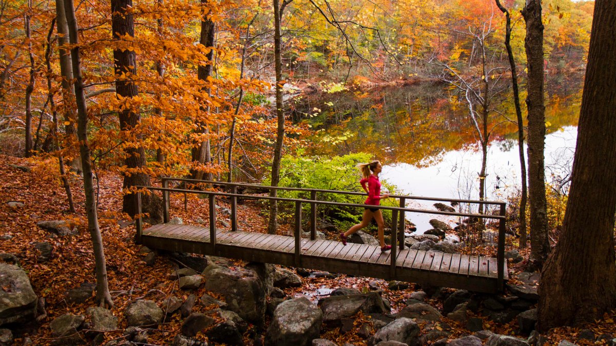 These are America's 10 best states to live and work in for 2023, and there are some notable omissions - Vimarsana News