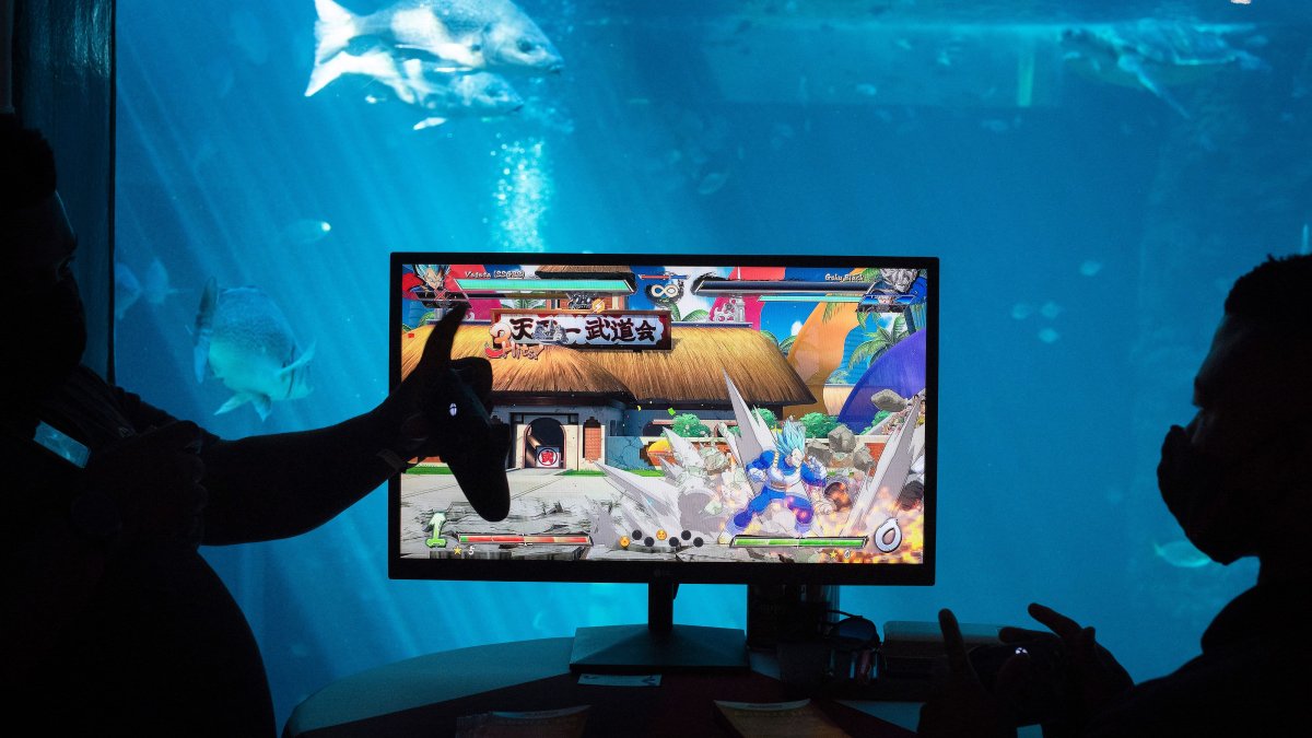 Africa's gaming market is expected to top $1 billion in 2024 — in the face of a global slowdown - Vimarsana News