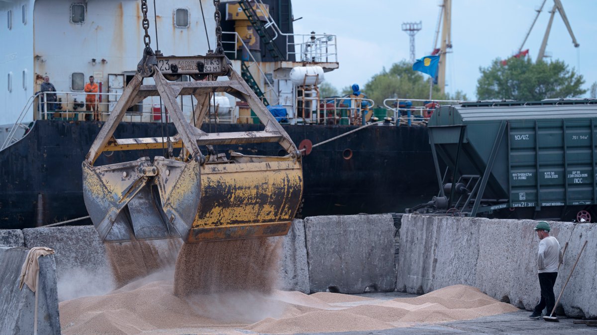 Russia halts wartime deal that allows Ukraine to ship grain – NBC Connecticut - Vimarsana News