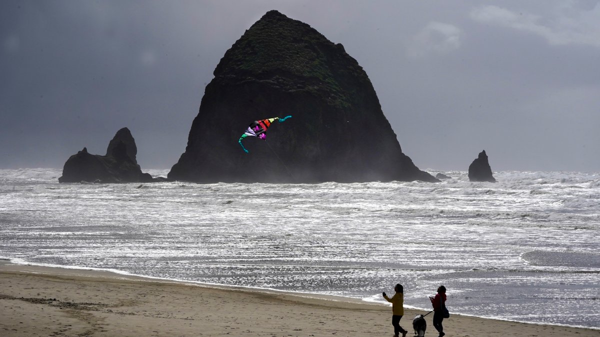 Oregon's Cannon Beach reopens after cougar sighting – NBC Connecticut - Vimarsana News