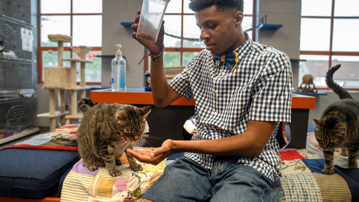 Teen's mission is to save shelter animals one bow tie at a time – NBC Connecticut - Vimarsana News