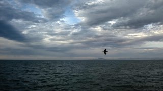 A bird flies over the Gulf of California, also known as the Sea of Cortes, near San Felipe, in Baja California State, northwestern Mexico, on May 19, 2023.