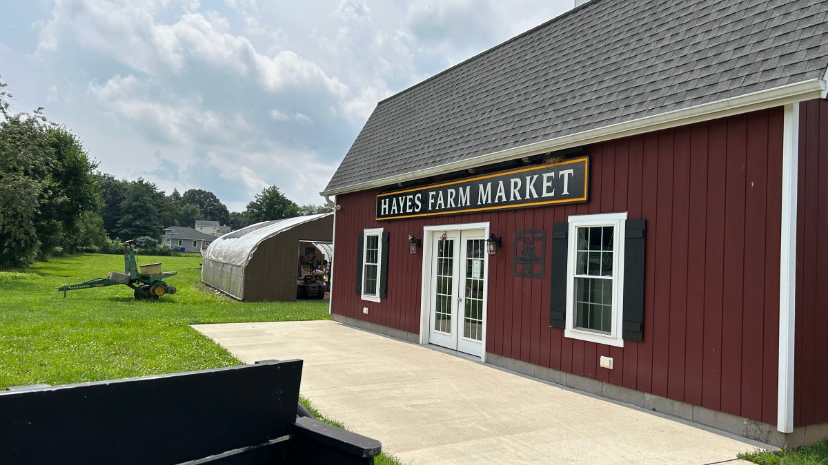 Connecticut farmers cope with crop losses due to flooding NBC Connecticut