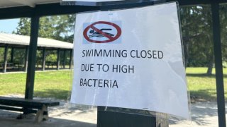 No swimming sign at Rocky Neck