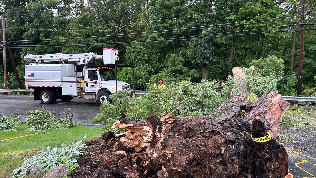 Storm damage reported across Connecticut – NBC Connecticut