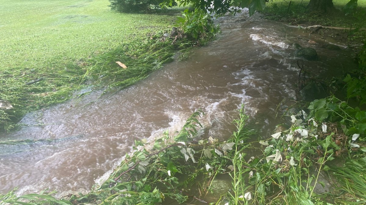 Heavy rain causes damage, closes roads in parts of Litchfield County