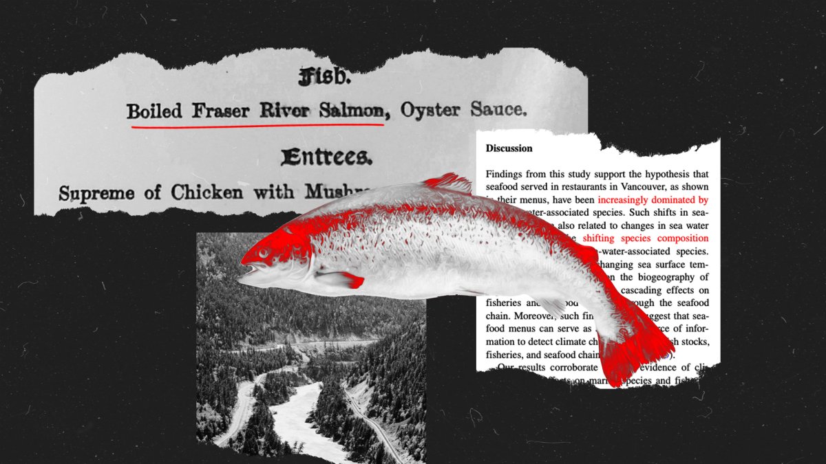 How warming temperatures change seafood dishes on menus – NBC Connecticut - Vimarsana News