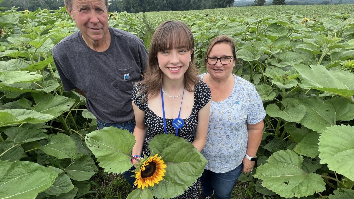 Pick sunflowers at this Griswold farm to help make wishes come true for