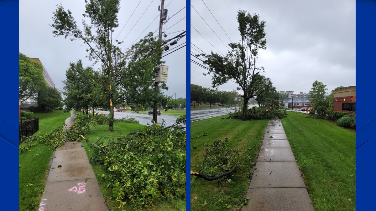 Microburst may have hit Wethersfield, Connecticut NBC Connecticut