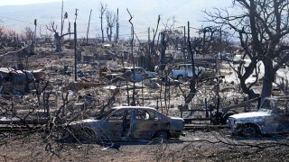 FILE – Destroyed homes and cars are shown in Lahaina, Hawaii, Aug. 13, 2023.