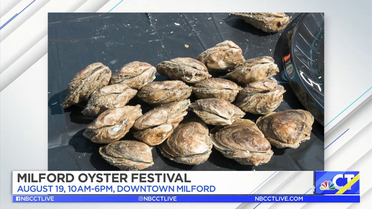 CT LIVE! 2023 Milford Oyster Festival NBC Connecticut