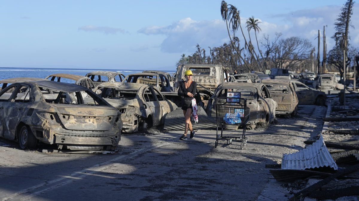 Maui wildfire victims receive help from Paradise fire survivors – NBC Connecticut - Vimarsana News