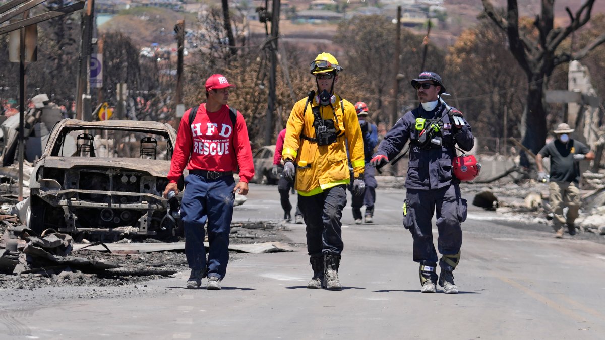 Here's how authorities plan to identify the victims of Maui's wildfires – NBC Connecticut - Vimarsana News