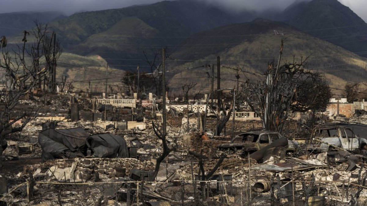 Maui wildfires: Some missing people found after Hawaii officials release list – NBC Connecticut - Vimarsana News
