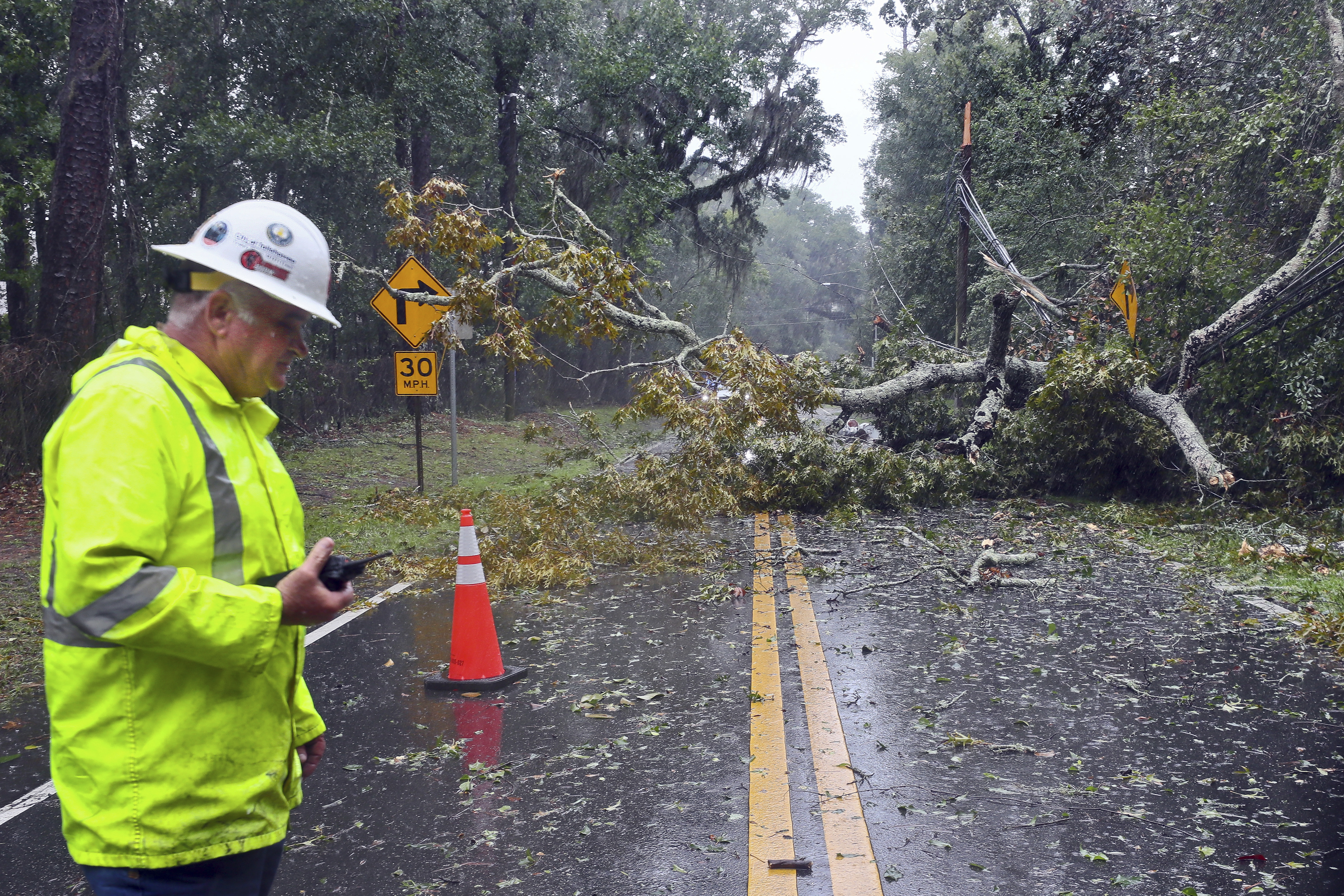 A City of Tallahassee electrical worker assesses damage to power lines after a tree fell on Old St. Augustine, a canopy road, in Tallahassee, Florida.