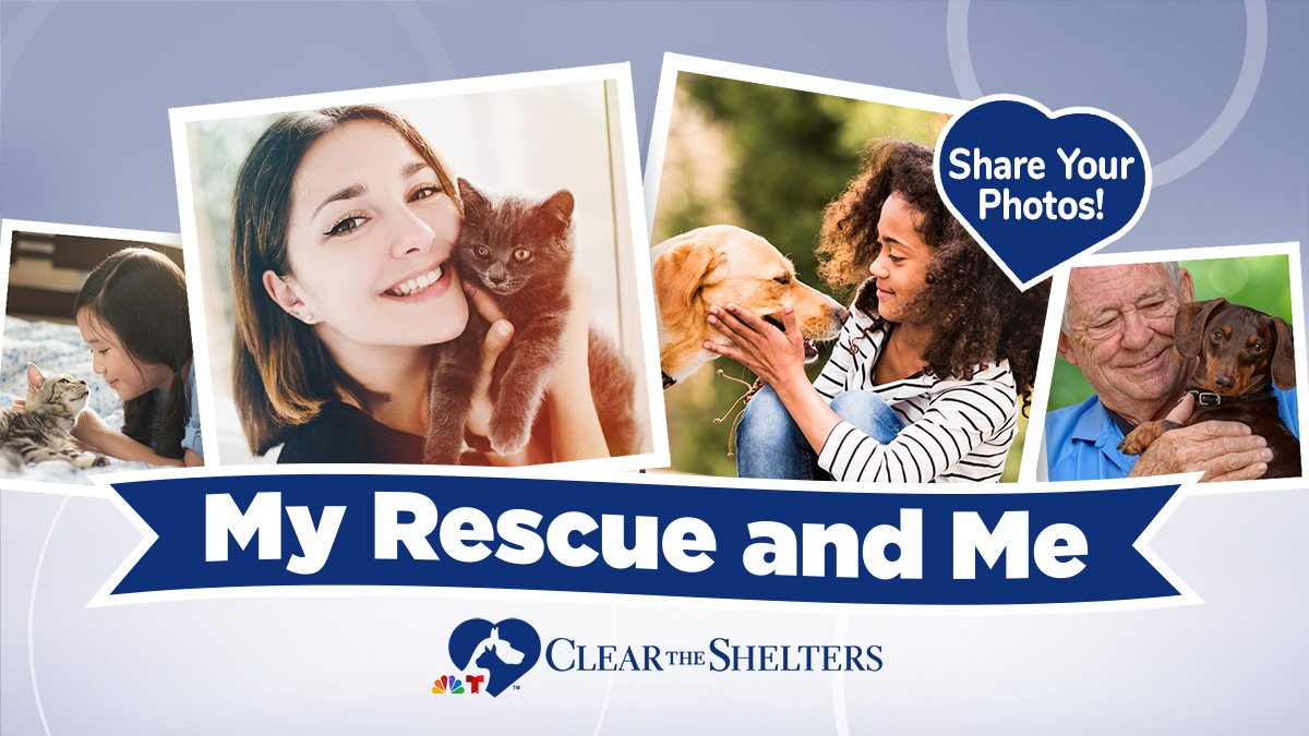 What to know about Clear the Shelters 2023 pet adoptions in CT – NBC Connecticut - Vimarsana News
