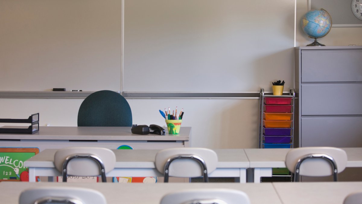 Georgia school district fires teacher for reading gender fluidity book to student – NBC Connecticut - Vimarsana News