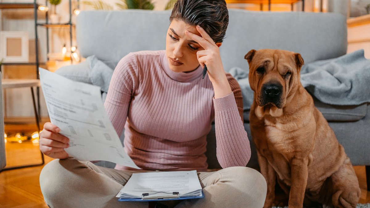 As pet insurance becomes more popular, pet owners fret about rising prices, denied claims – NBC Connecticut - Vimarsana News