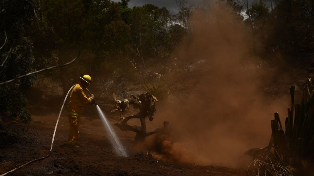 Hawaii electric company says power lines did not cause deadly Maui wildfire – NBC Connecticut - Vimarsana News