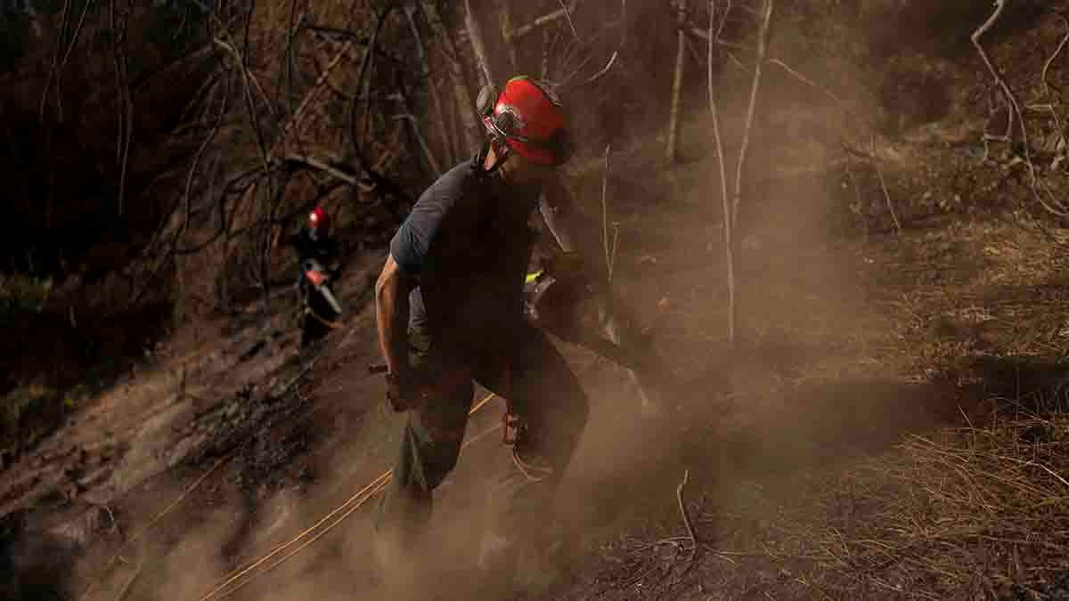 Maui wildfire survivors face power cuts and poor cell service amid ongoing search efforts – NBC Connecticut - Vimarsana News