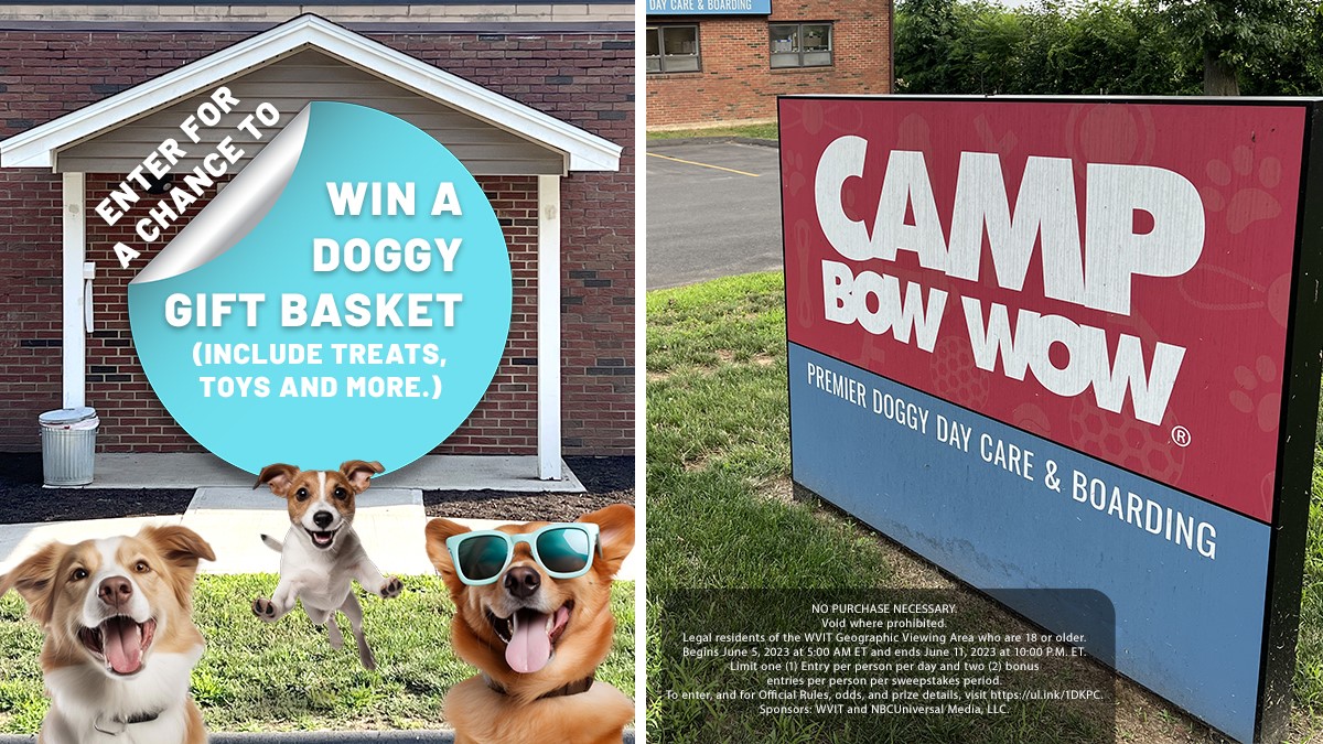 Camp bow wow outlet faq