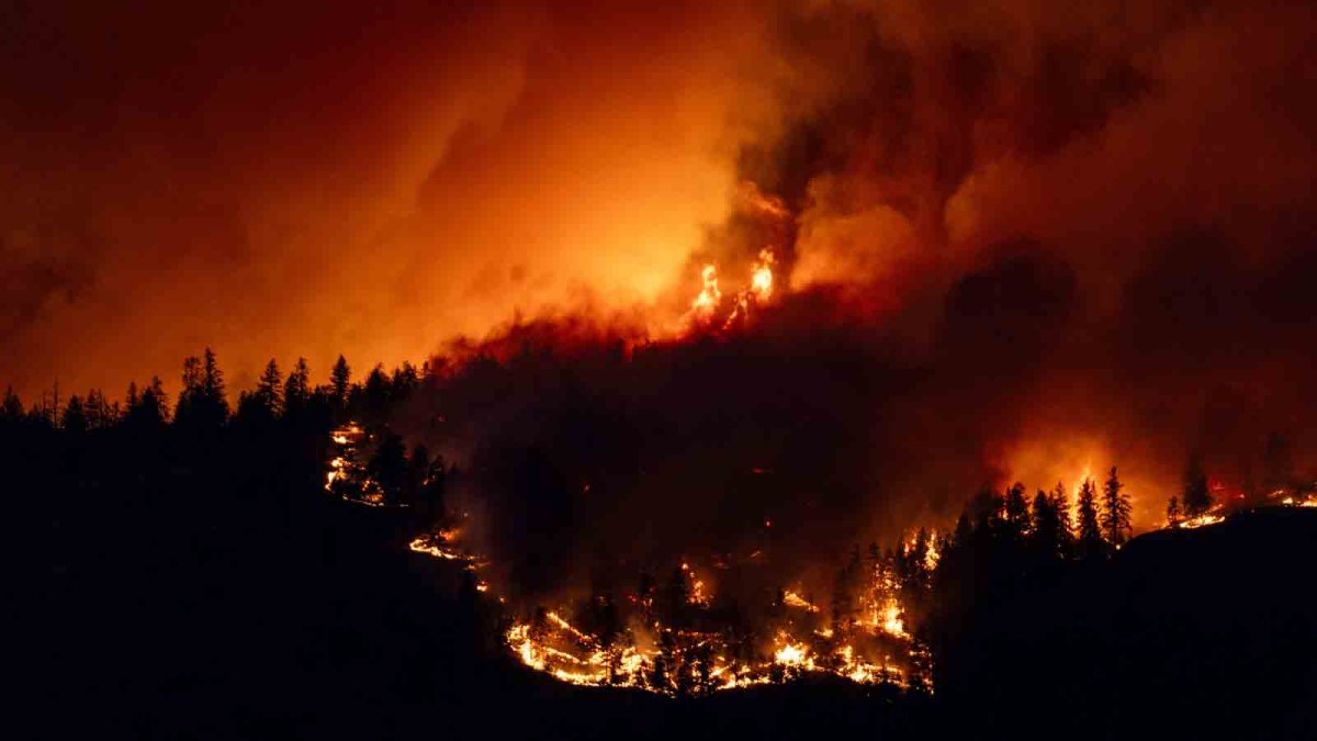 Canadian firefighters battling wildfires to save communities – NBC Connecticut - Vimarsana News