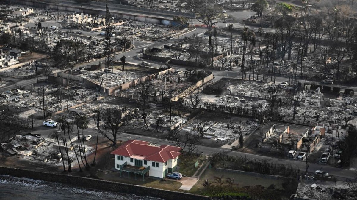 The disaster era business loans that are becoming key to Main Street's survival - Vimarsana News