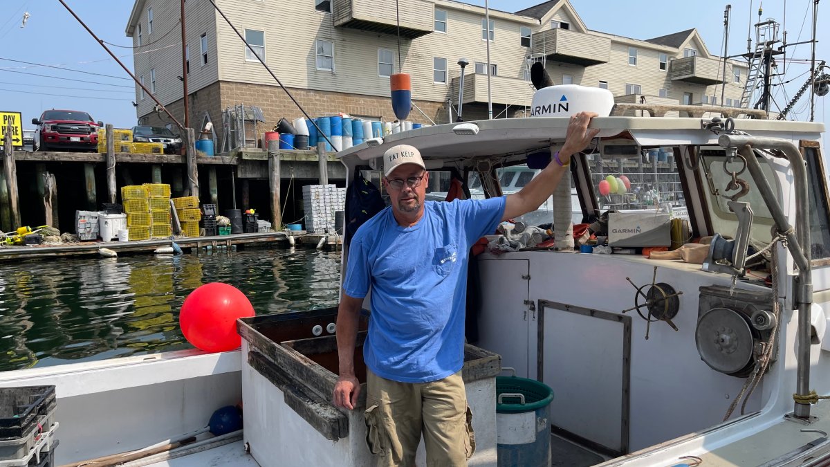 Maine lobstermen are getting into the seaweed business as climate change threatens the catch - Vimarsana News
