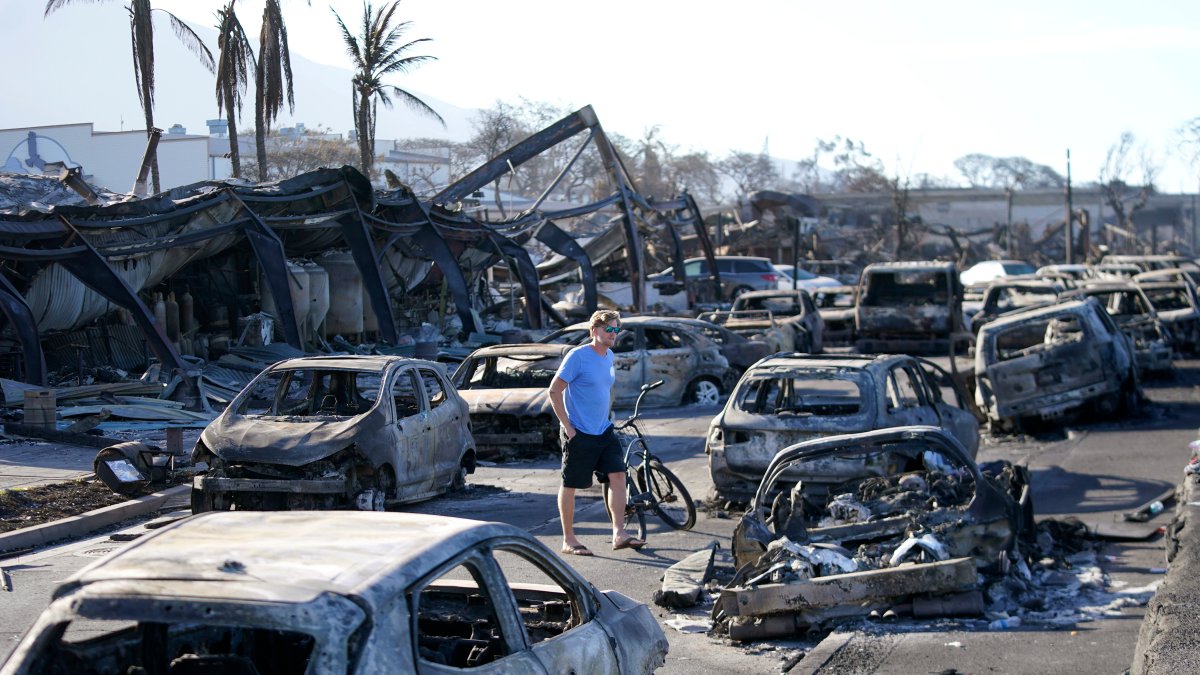 Maui wildfires death toll drops to 97 after DNA testing – NBC Connecticut - Vimarsana News