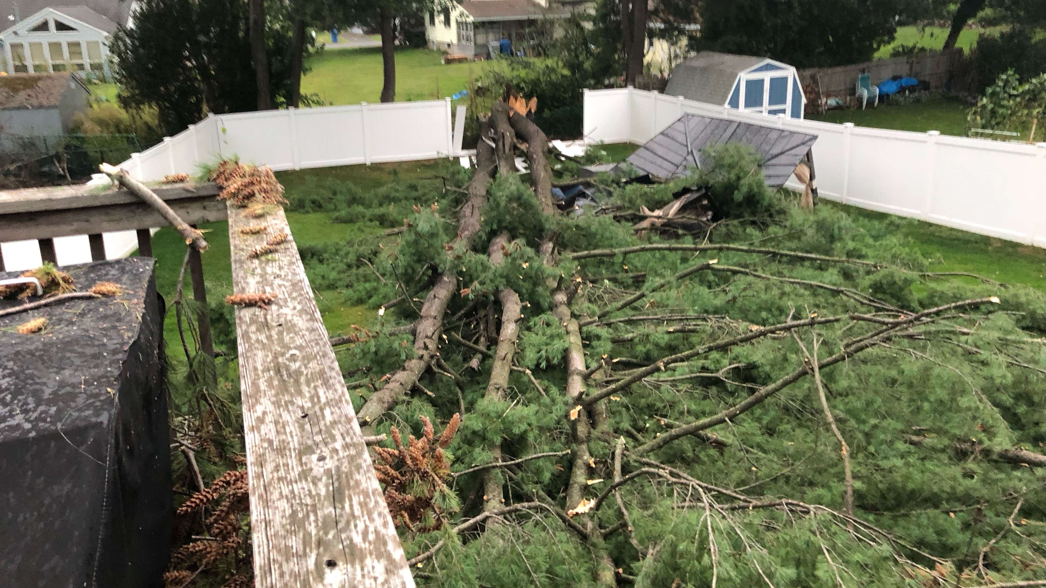 Storm damage seen across Connecticut on Friday