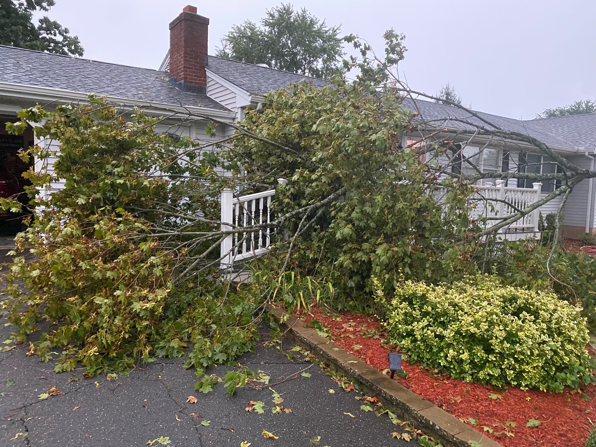 A tree fell onto a porch in the Broad Brook neighborhood of East Windsor.