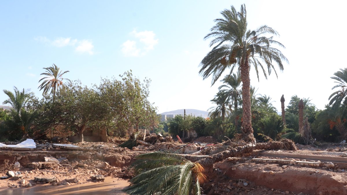 Libya investigates dams' collapse after a devastating flood – NBC Connecticut - Vimarsana News