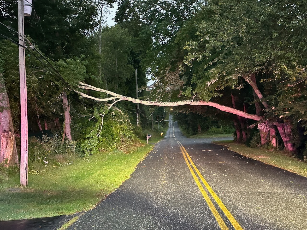 Tolland Firefighters posted this photo of a tree on wires on Hurlburt Road.