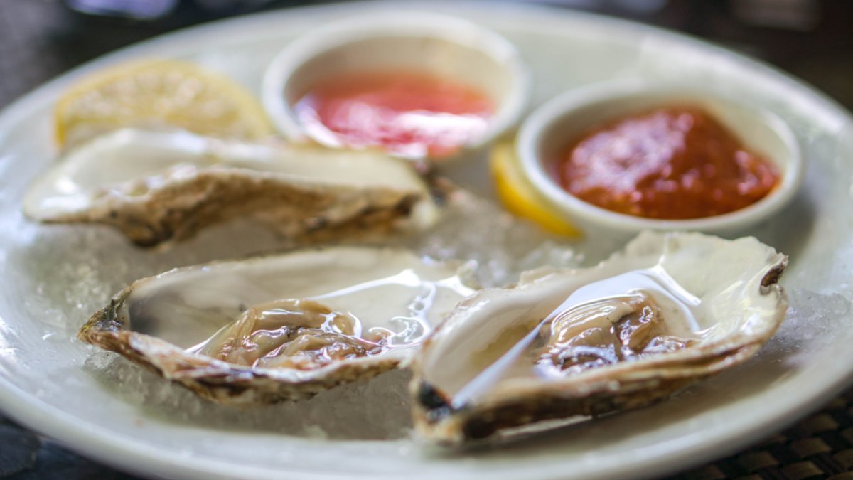 FDA says oysters harvested from Groton area may be contaminated – NBC Connecticut - Vimarsana News