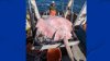 Connecticut state trawling crew hauls up massive stingray from Long Island Sound