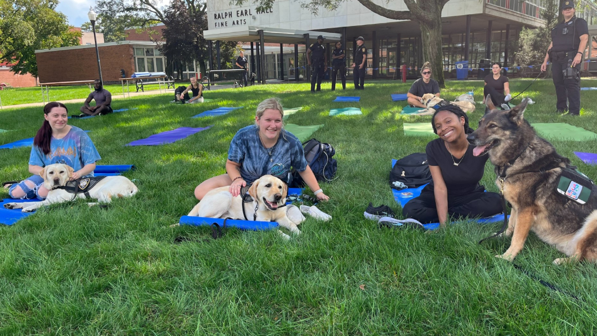 SCSU students reflect on 9/11 with help from comfort dogs – NBC