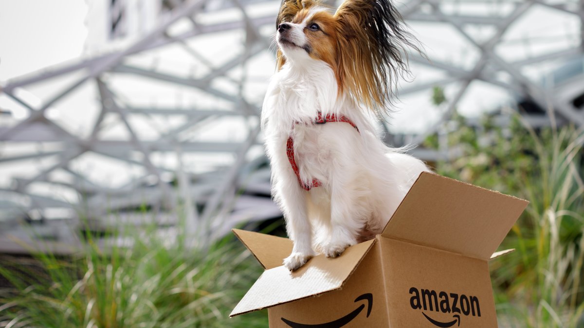 Amazon considers offering veterinary telehealth as it looks to compete with Walmart - Vimarsana News