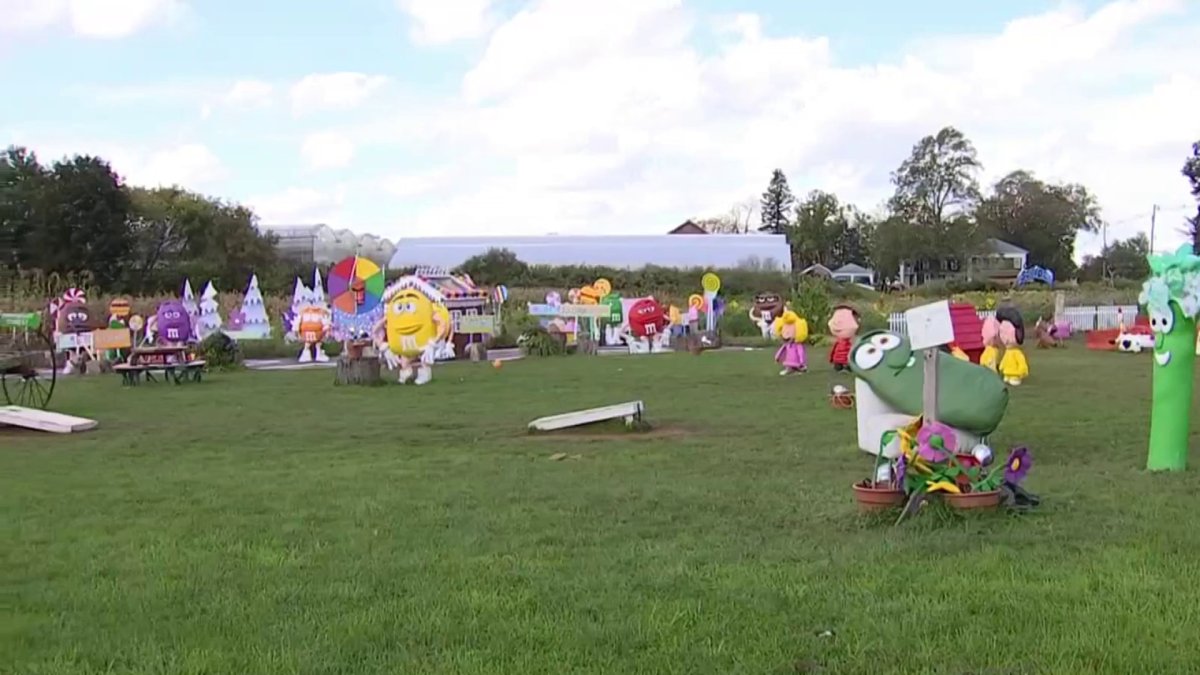 Community rallies around Wallingford farmer after serious accident - Vimarsana News