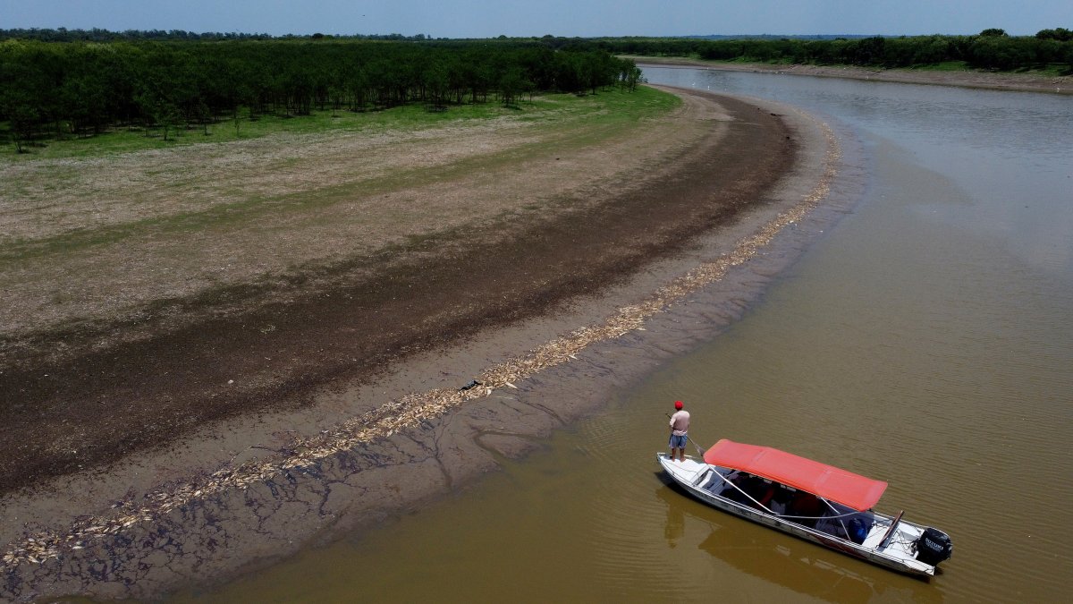 Brazil's Amazon faces drought and high water temperatures, causing more than 100 dolphins to die – NBC Connecticut - Vimarsana News