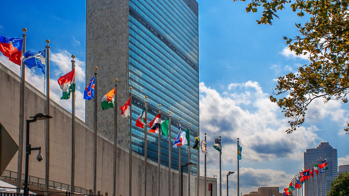 A look at how international law applies to war – NBC Connecticut - Vimarsana News