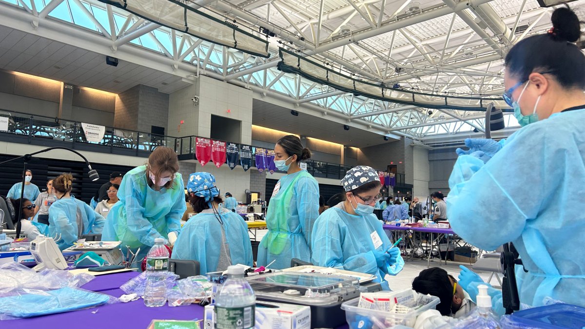 Nearly 1,400 people helped during free, two-day dental clinic in New Haven - Vimarsana News