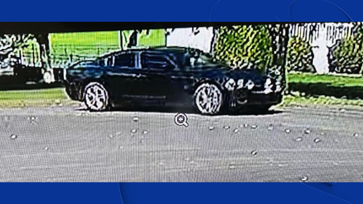 Homeowner shot at after interrupting a burglary in North Branford - Vimarsana News