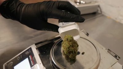 State increasing cannabis transaction limit next month